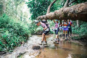 BIB: 
                            <button type="button" onclick="openModal(25373354)" class="btn btn-primary btn-sm float-right btn-popup" data-toggle="modal" data-target=".modal-high-quality">
                        <i class="fas fa-shopping-cart"></i> Add to Cart
                    </button>
                                            <button type="button" onclick="isThisMe(25373354, true)" class="btn btn-success btn-sm float-right btn-popup btn-isme hidden" data-toggle="tooltip" data-placement="bottom" title="นี่คือรูปของคุณใช่ไหม คลิกที่นี่เพื่อเอาเข้าอัลบั้ม">
                        <i class="fas fa-plus"></i> Add to album
                    </button>
                    <button type="button" onclick="isThisMe(25373354, false)" class="btn btn-warning btn-sm float-right btn-popup btn-isnotme hidden">
                        <i class="fas fa-ban"></i> Remove from album
                    </button>